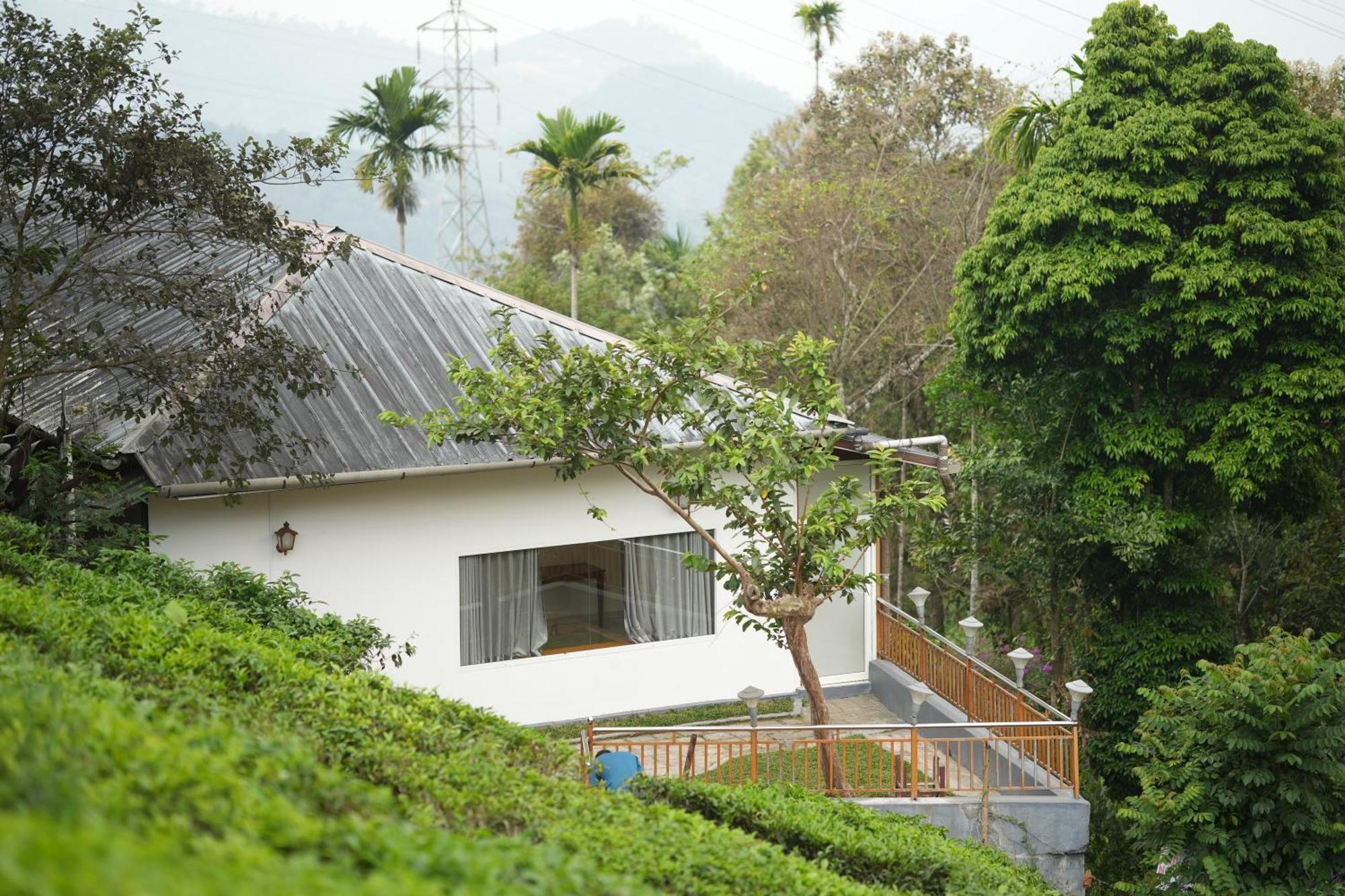 Misty Bush Munnar Bed & Breakfast エクステリア 写真